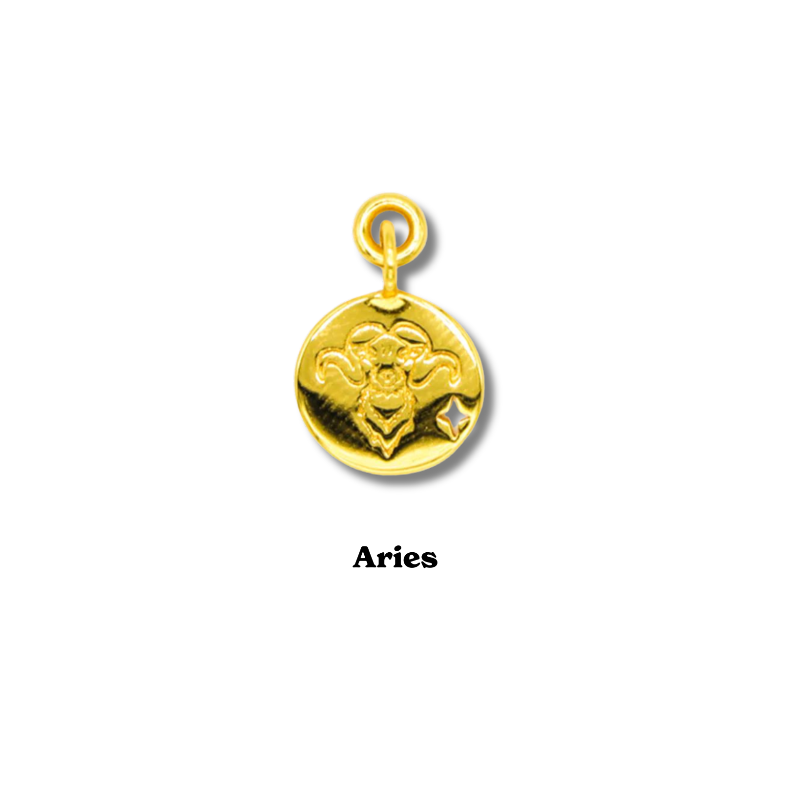 Zodiac Charm