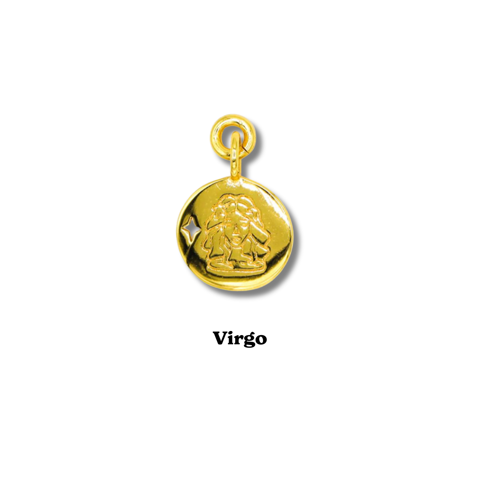 Zodiac Charm