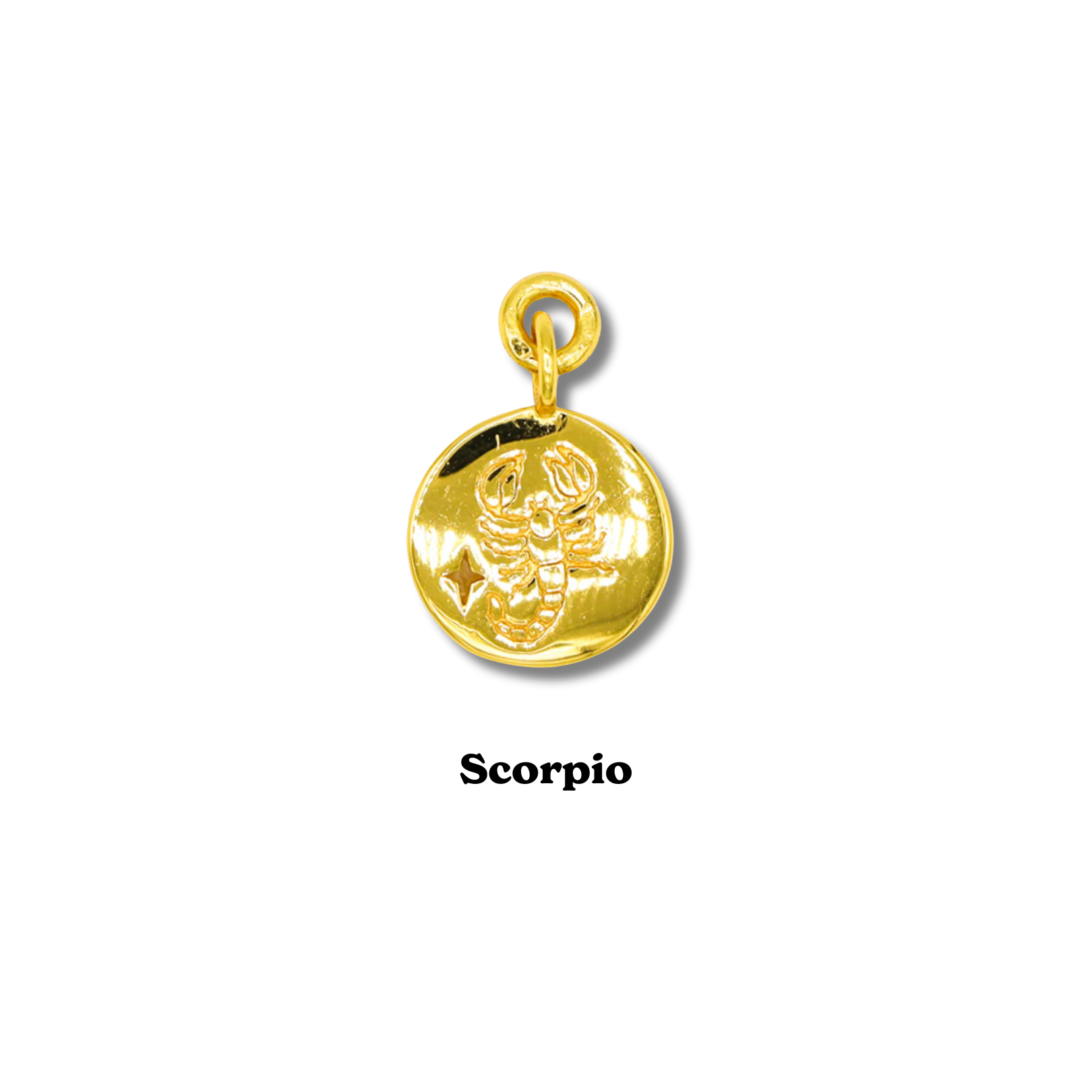 Zodiac Charm