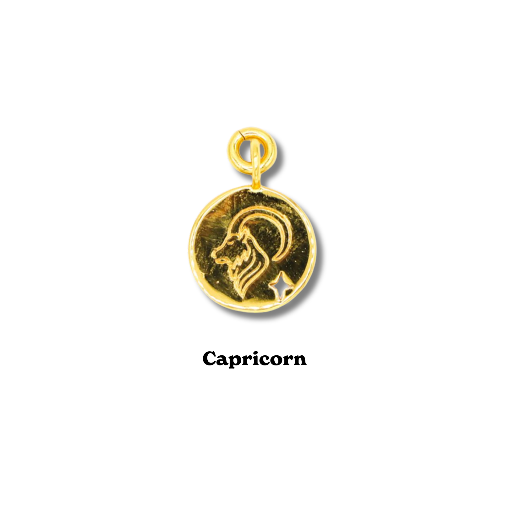 Zodiac Charm