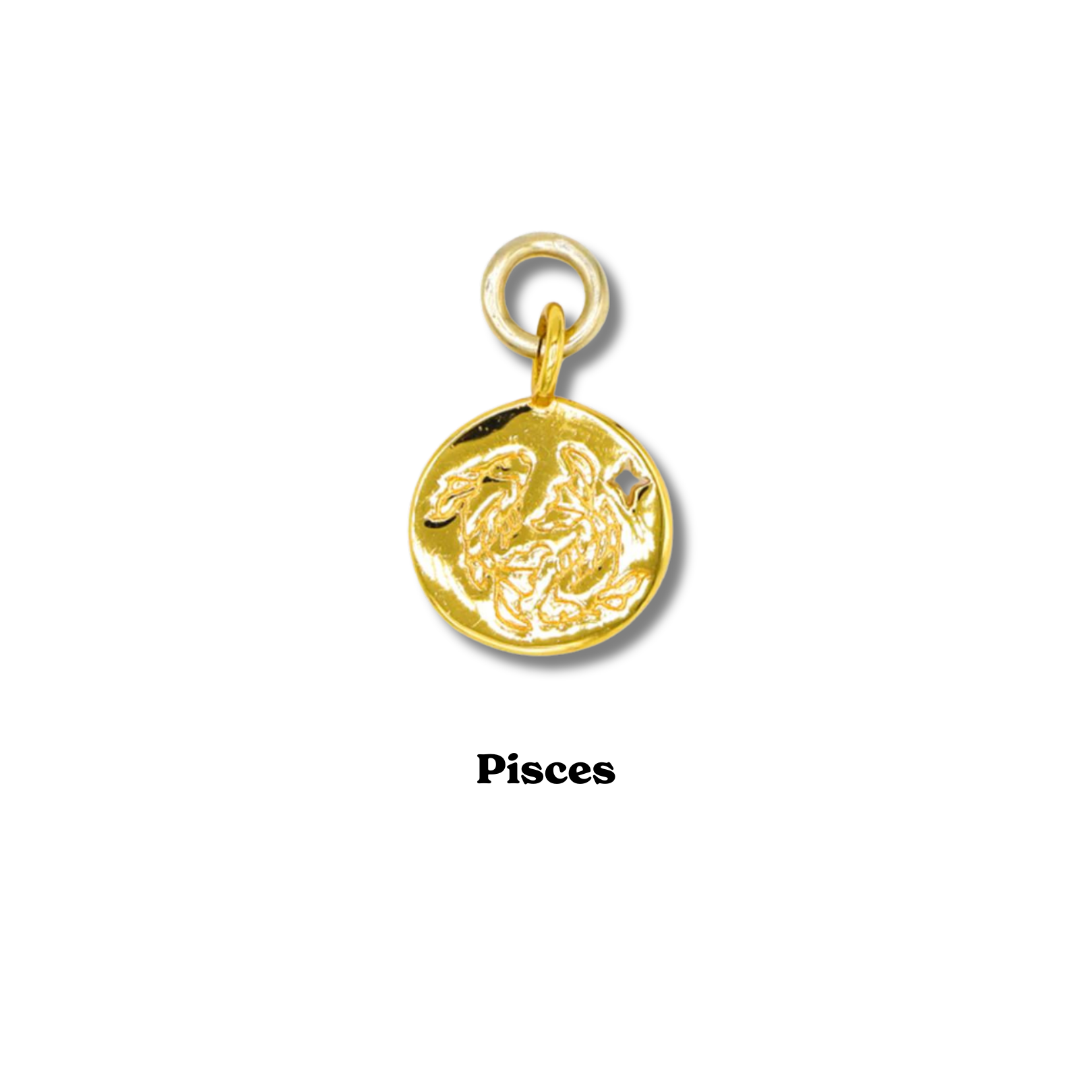 Zodiac Charm
