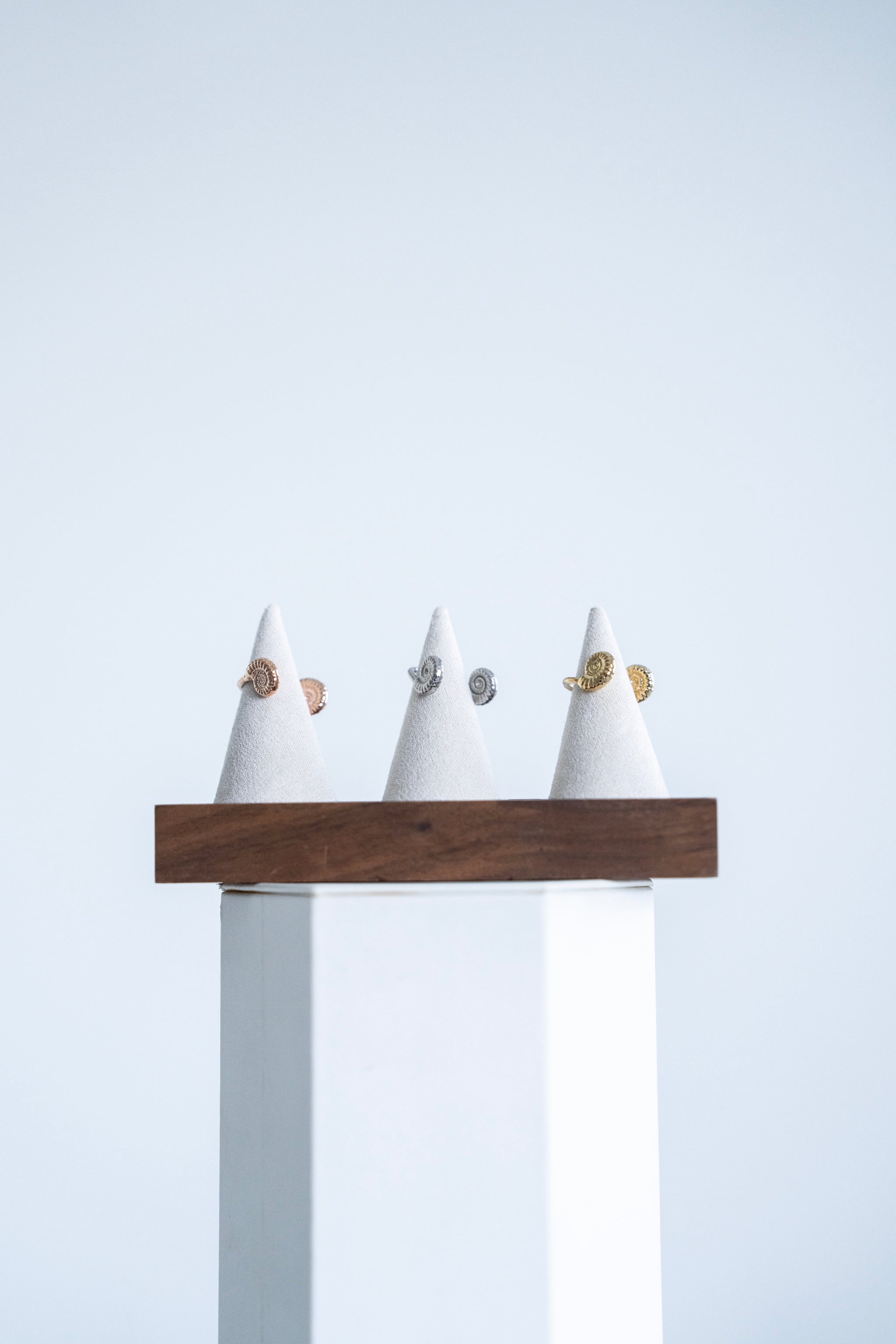 006 Ammonite Nose Cuff