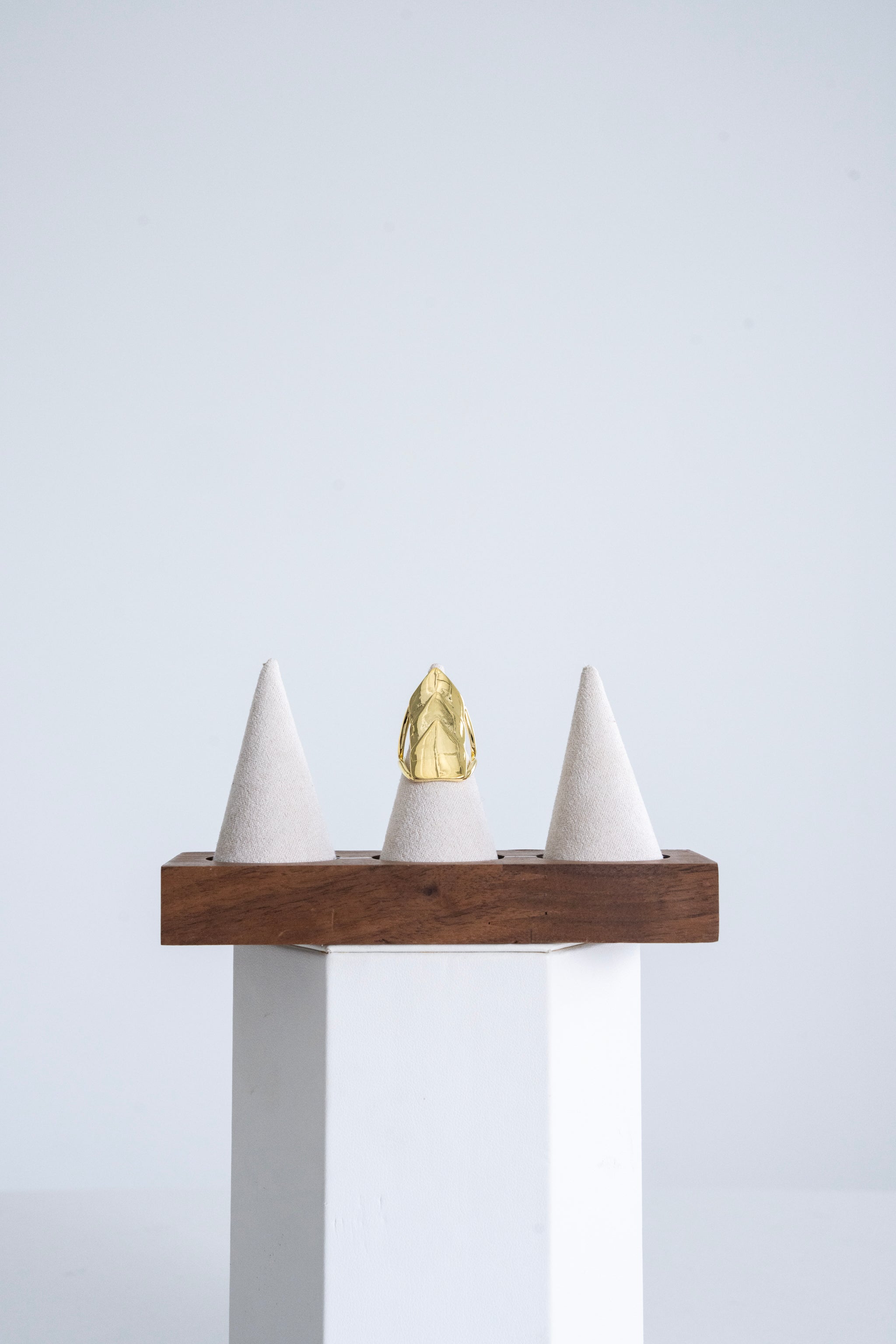 144 Scale Ring