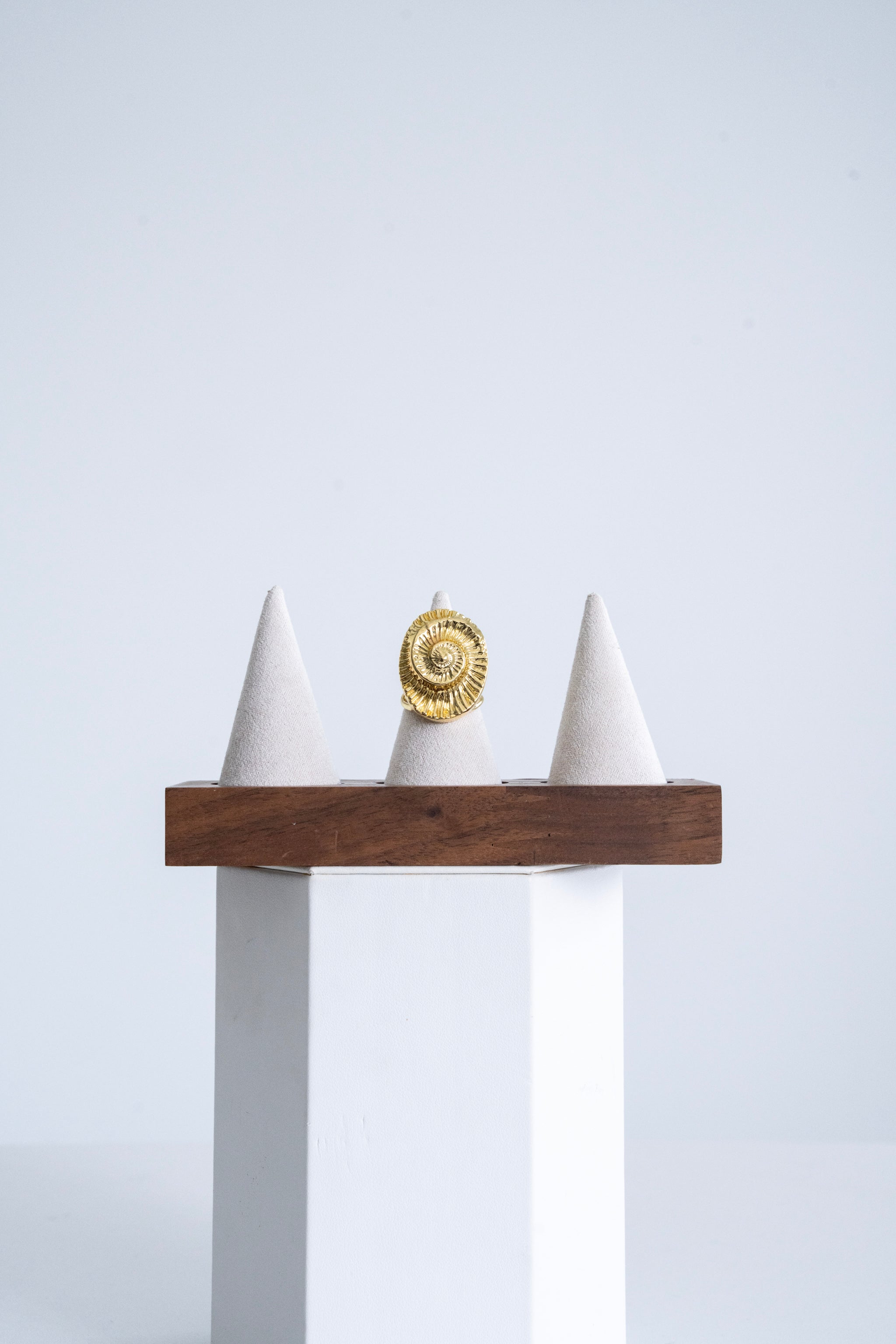 148 Ammonite Fossil Ring
