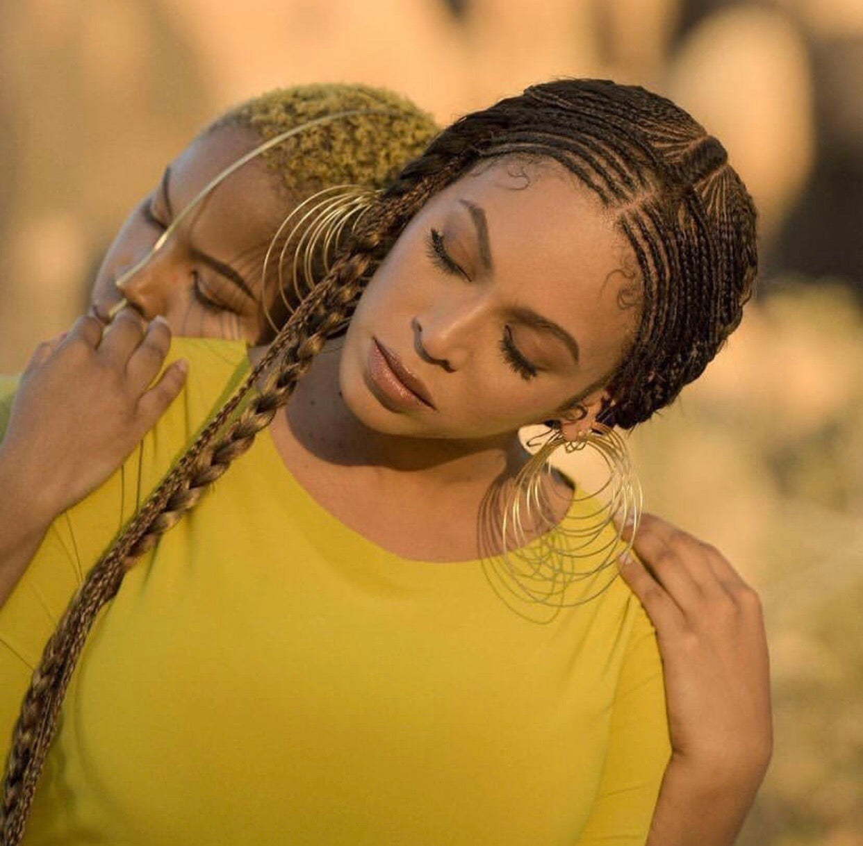 Lioness Mask worn by Beyonce