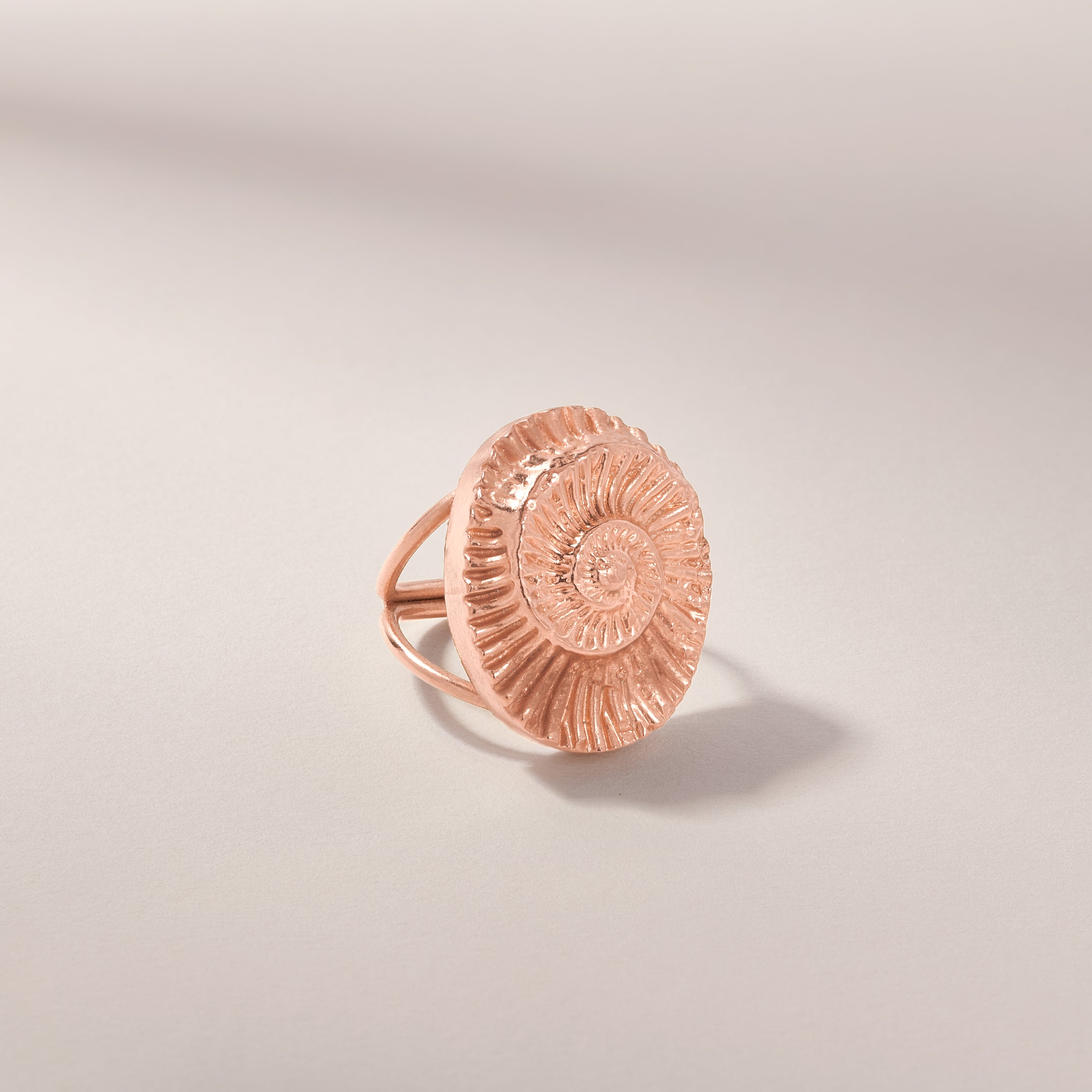 Ammonite Fossil Ring