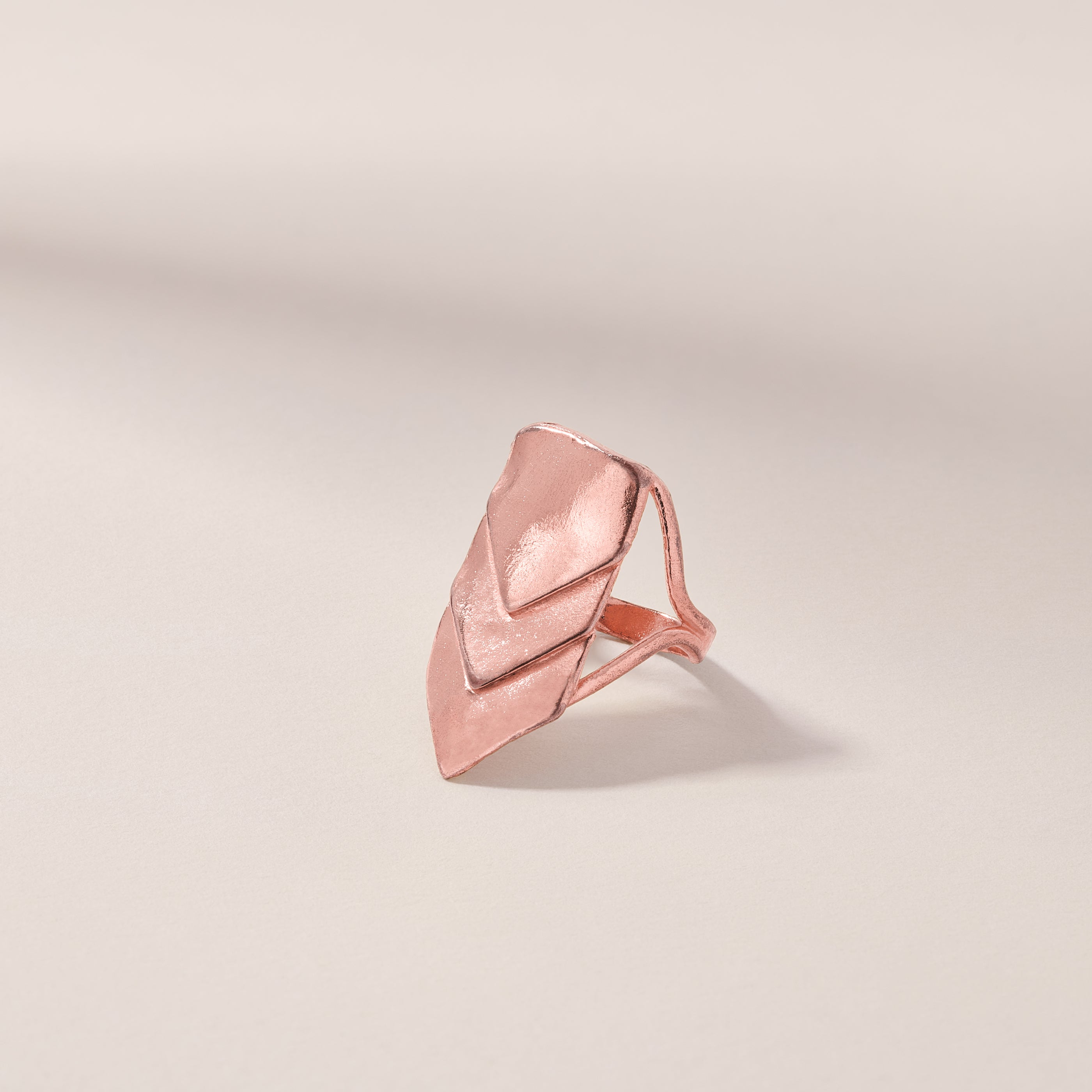 Scale Ring