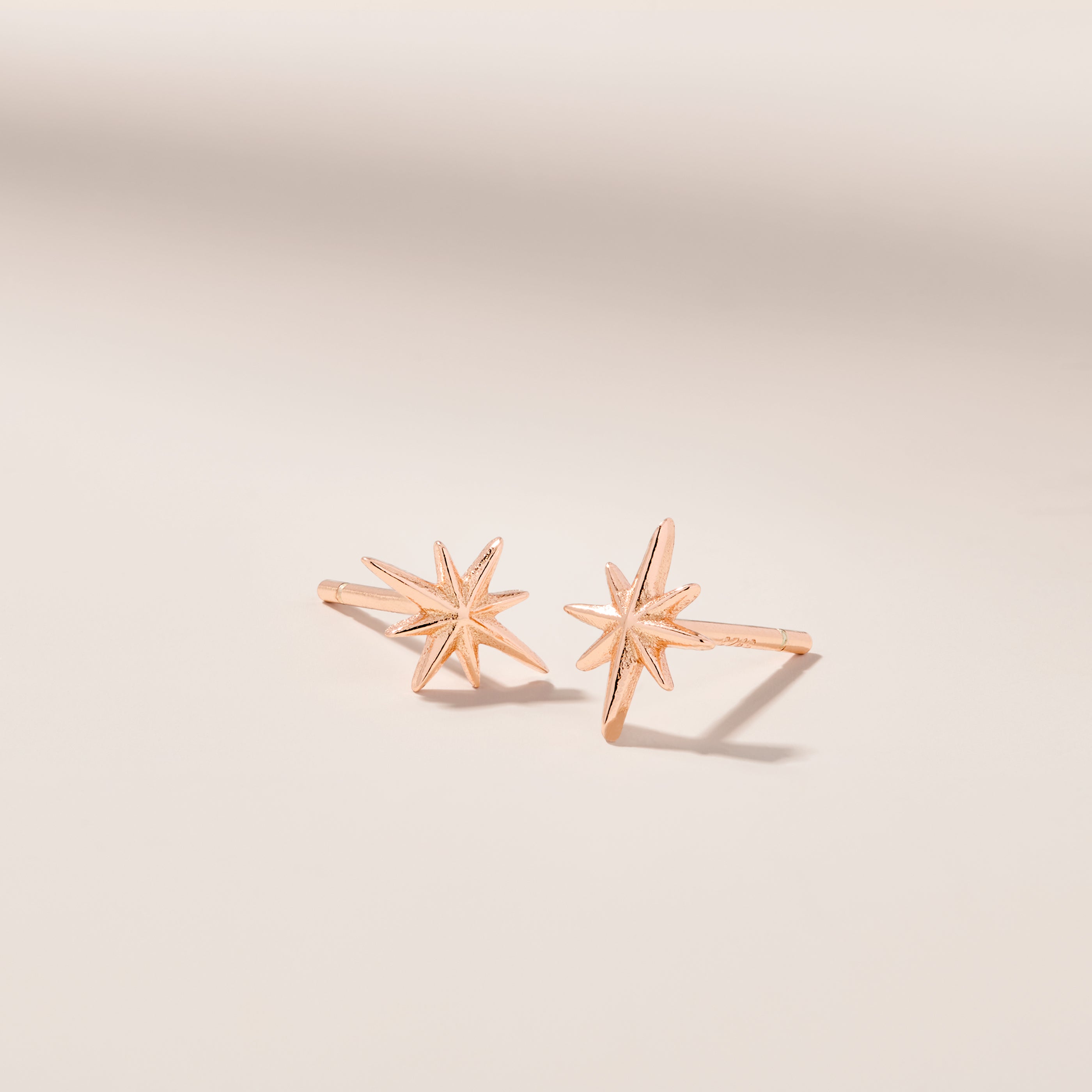 Sparkle Stud Earrings