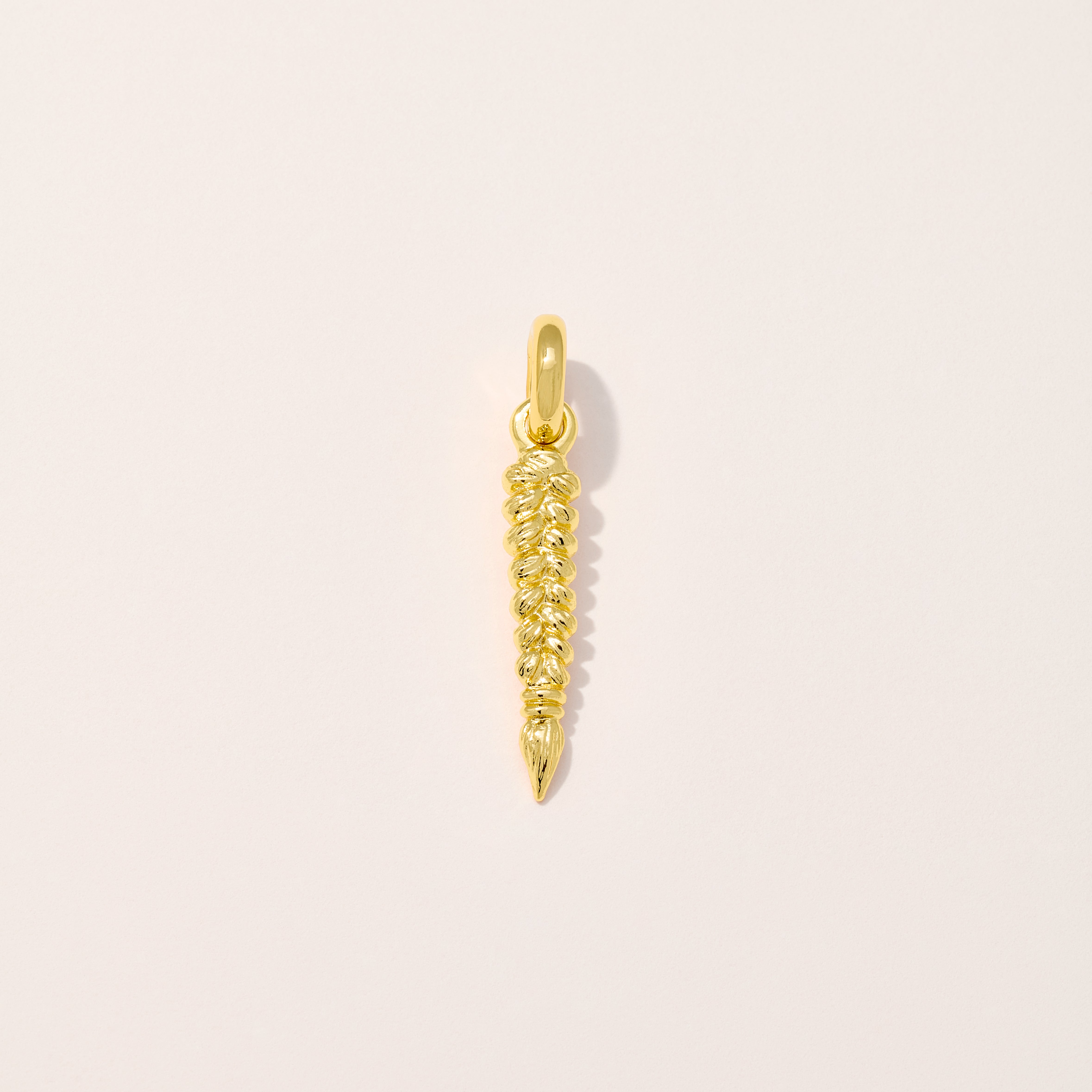 Braid Charm