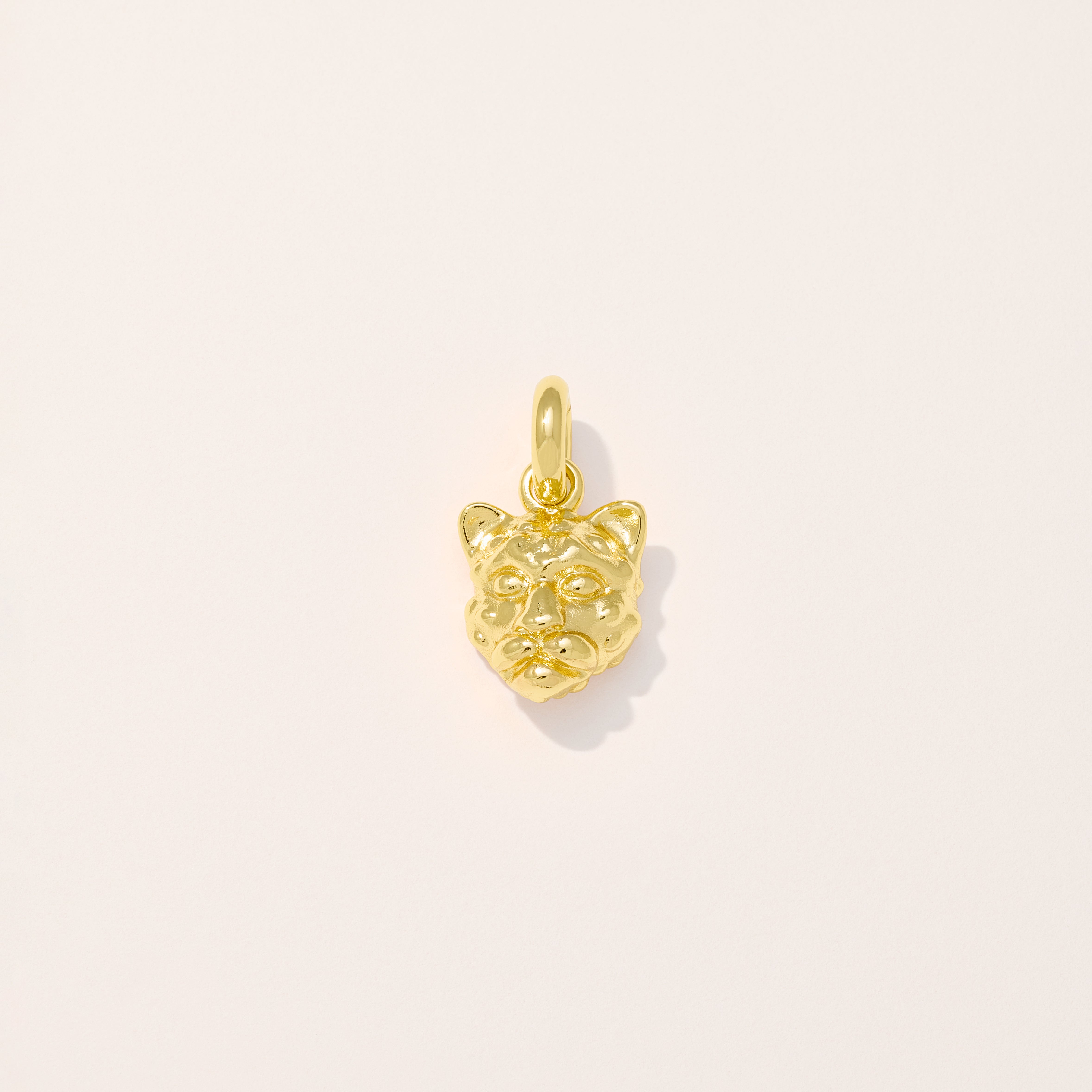 Jaguar Charm