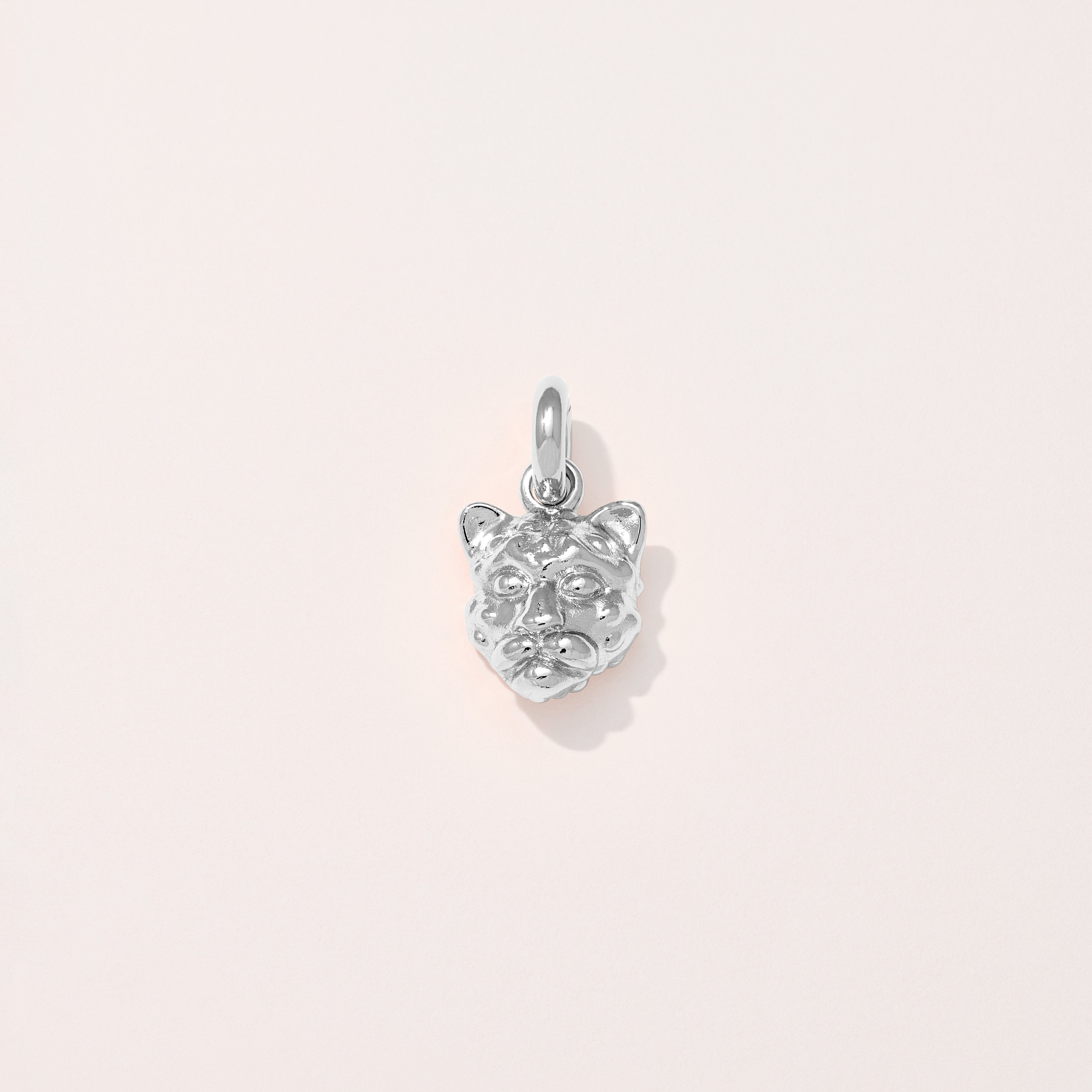 Jaguar Charm