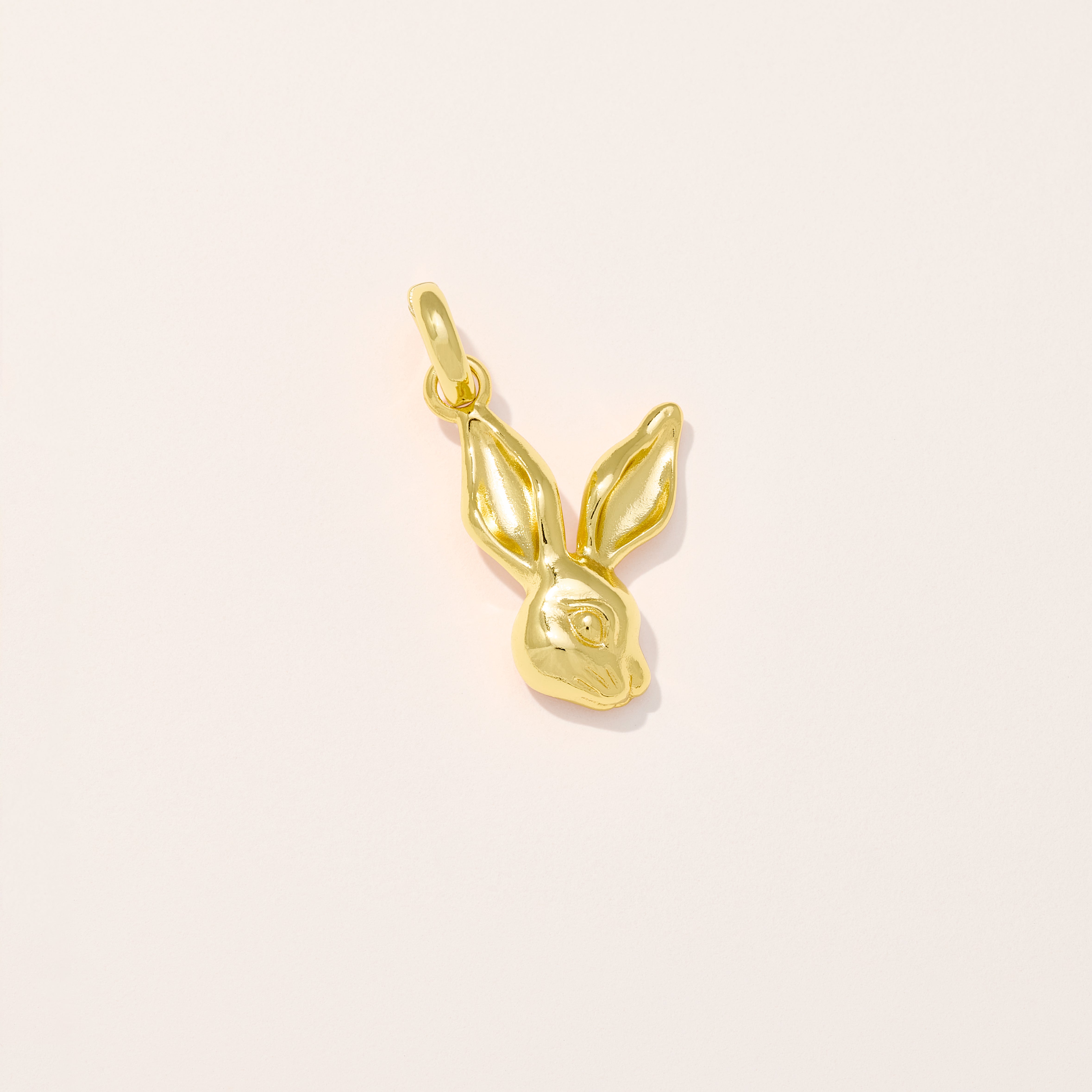Rabbit Charm