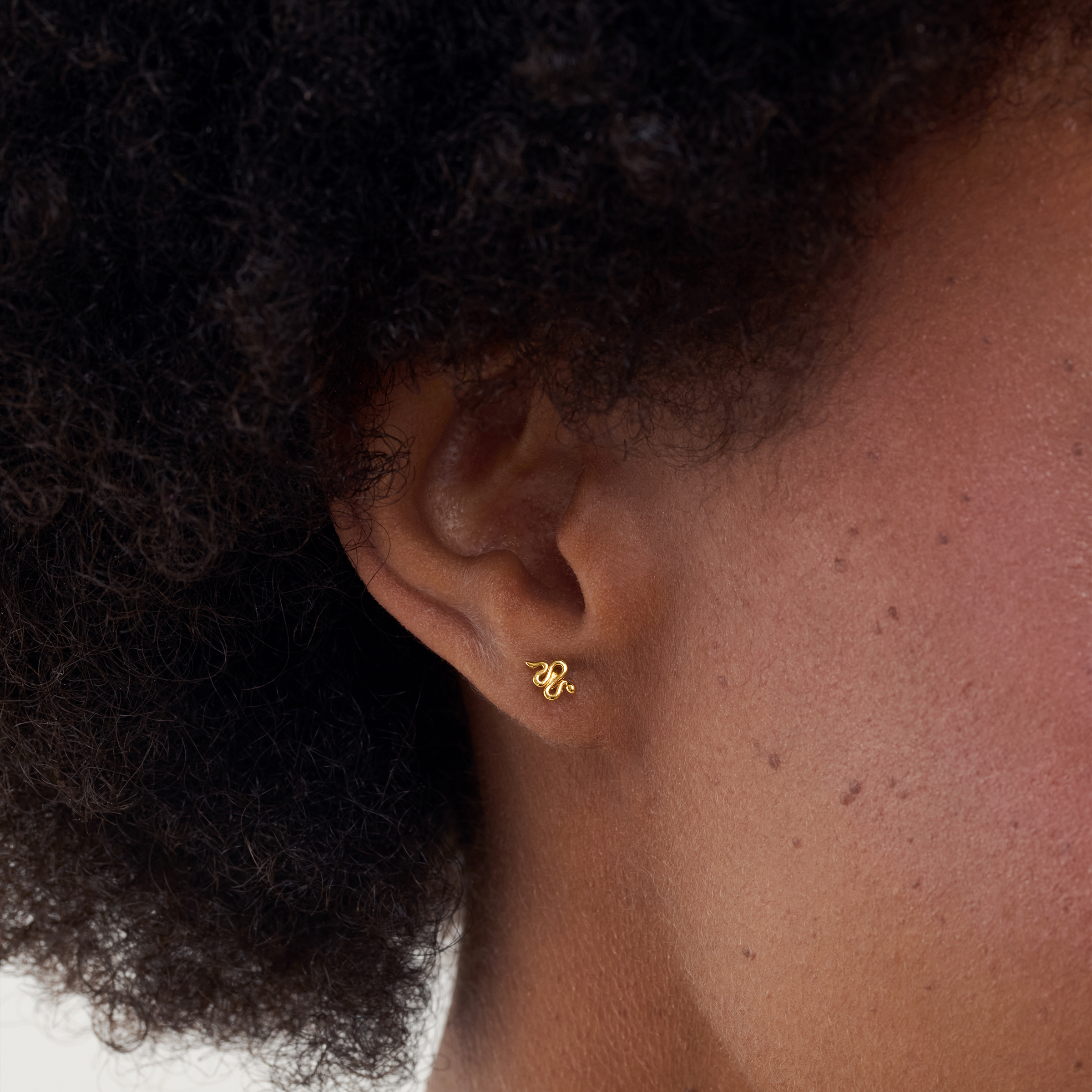 Twin Flame Studs Serpent / Skull