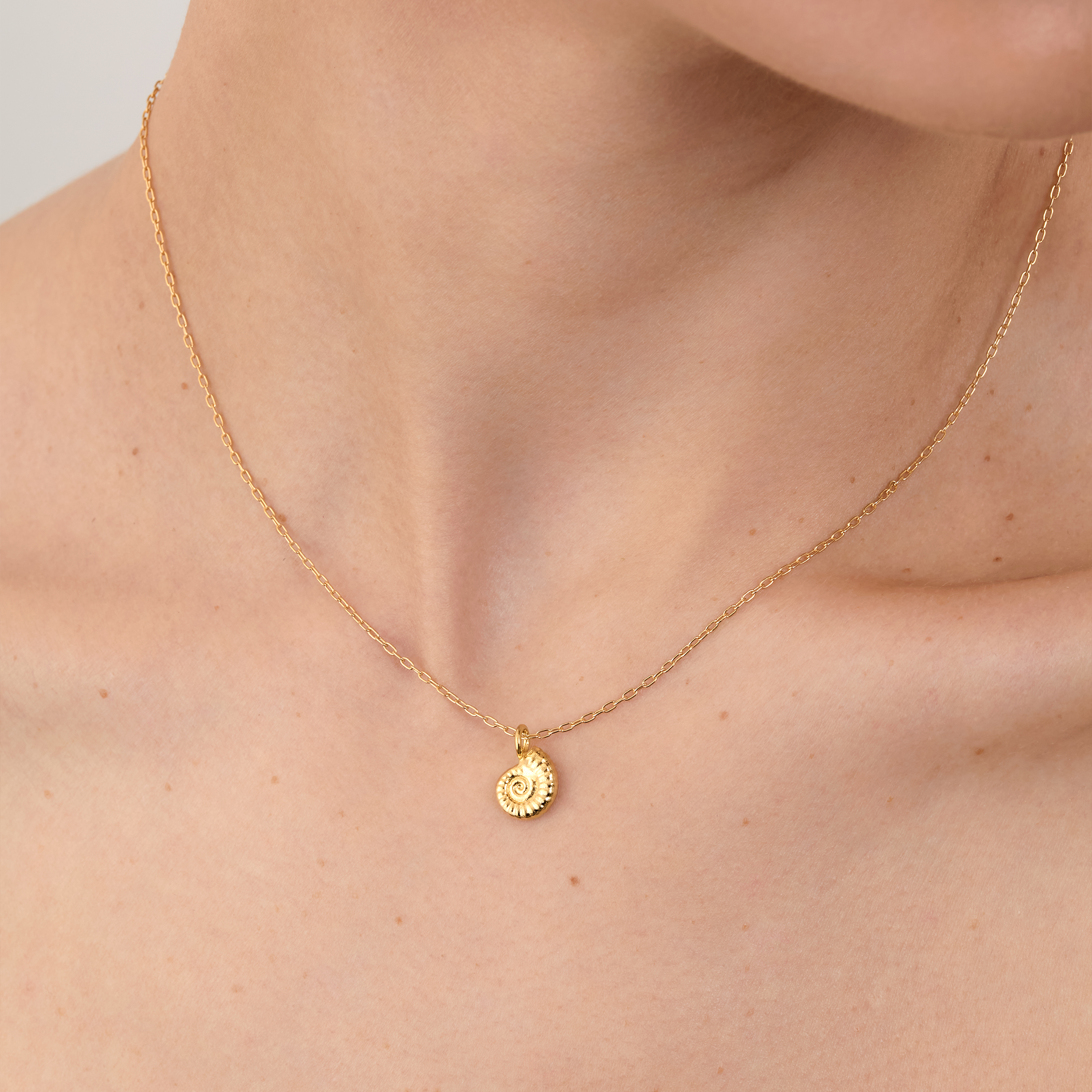 Tiny Ammonite Fossil Charm Necklace