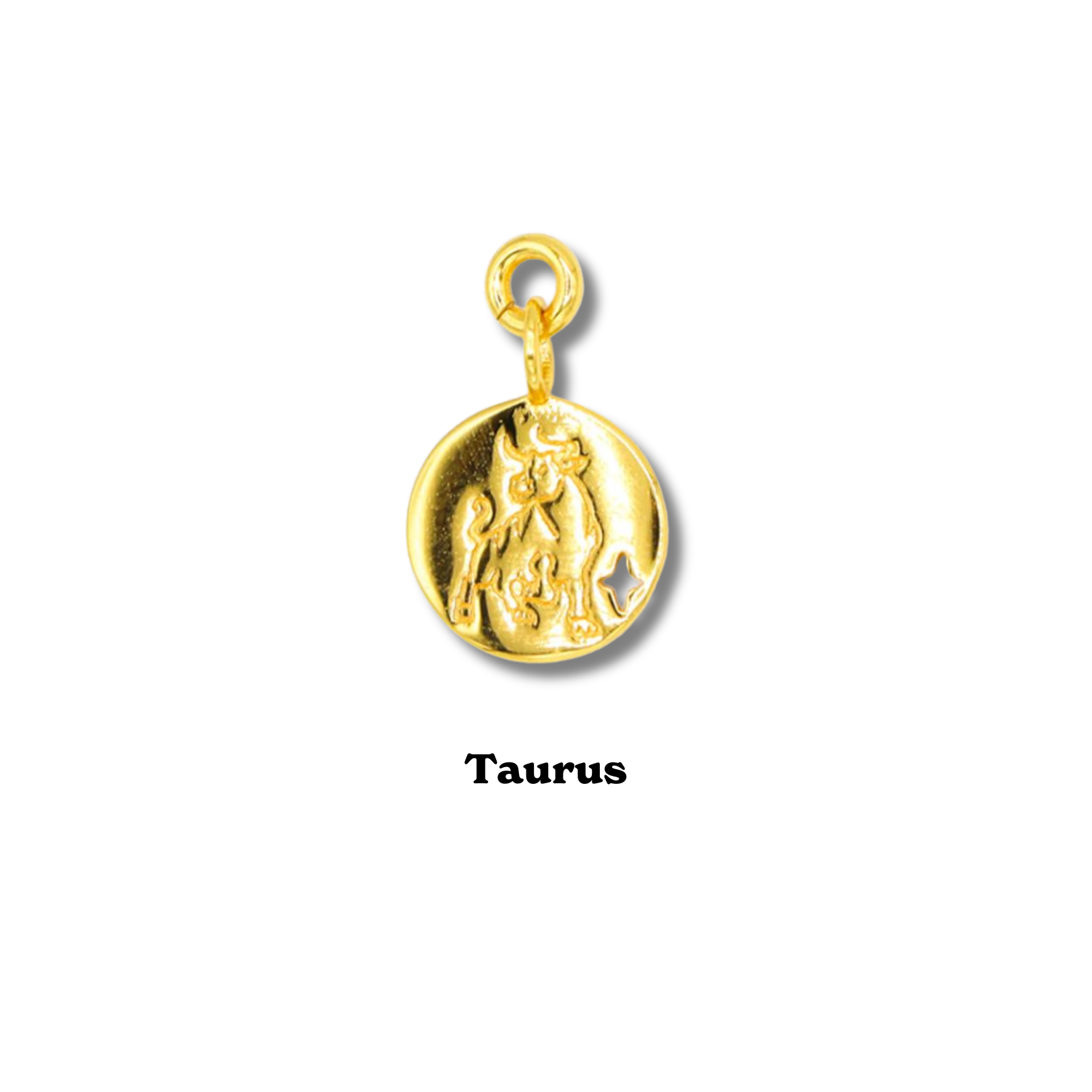 Zodiac Charm