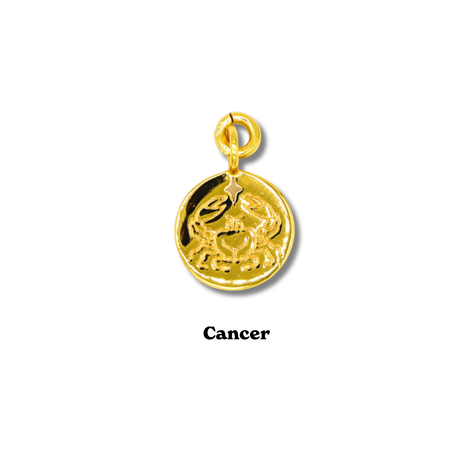 Zodiac Charm