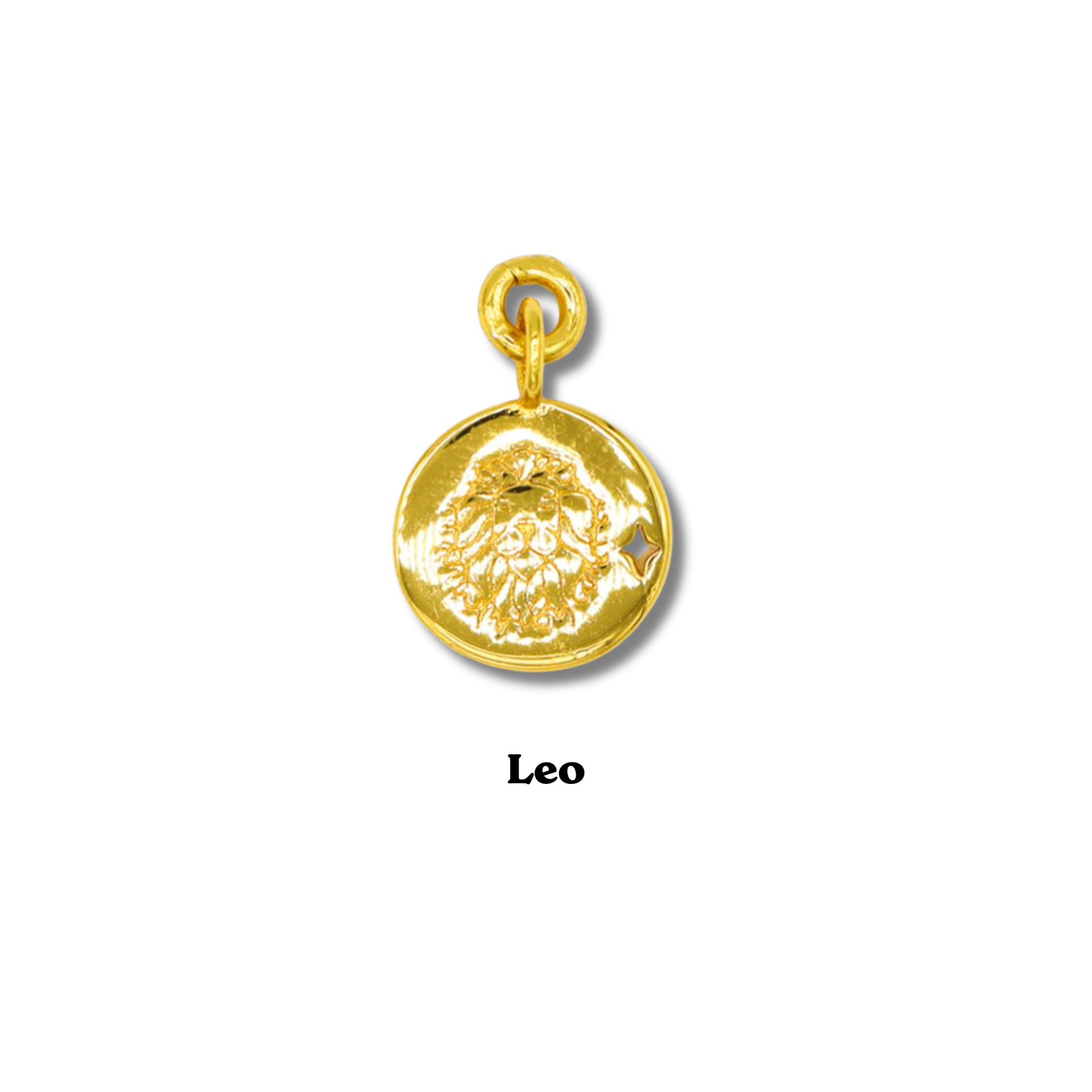 Zodiac Charm