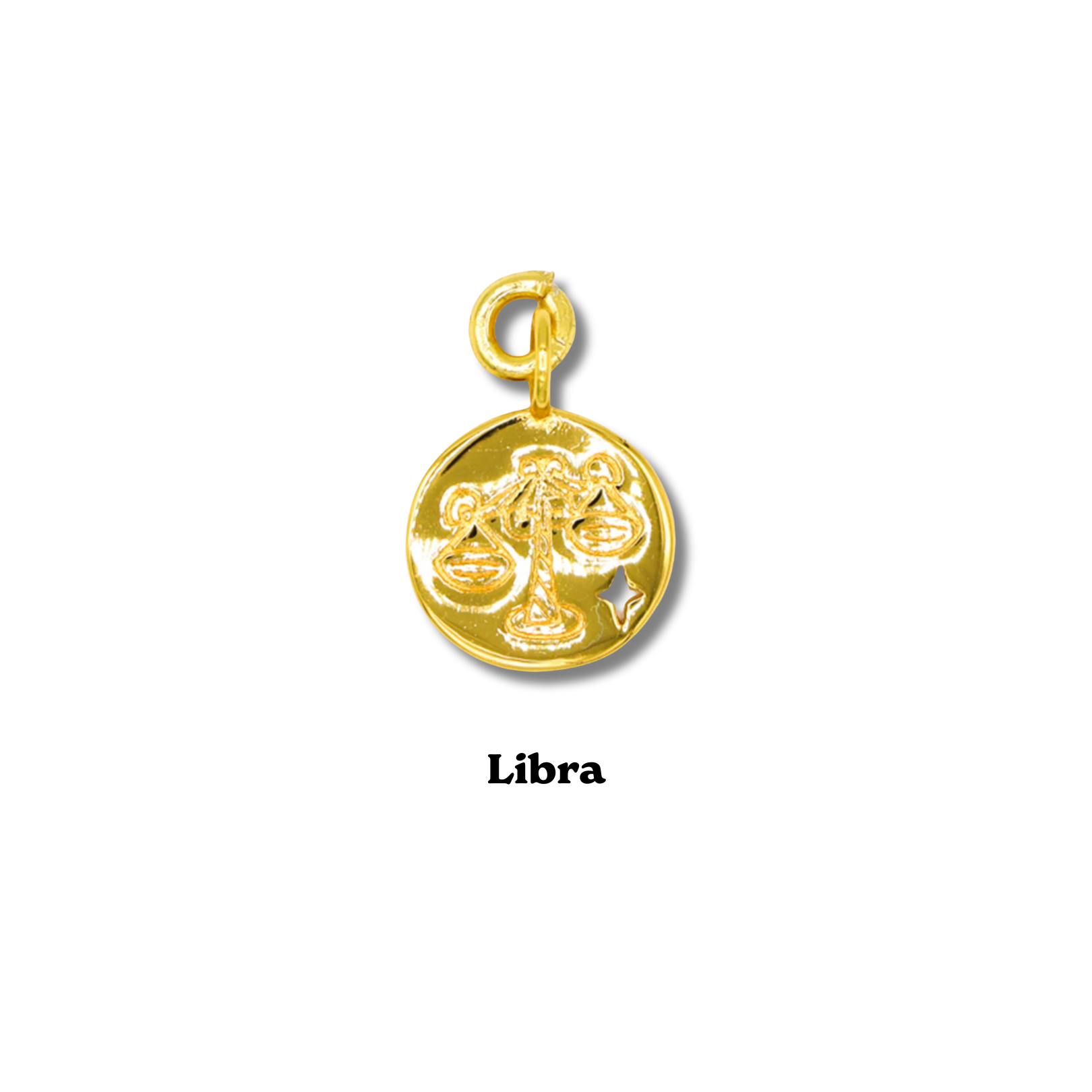 Zodiac Charm