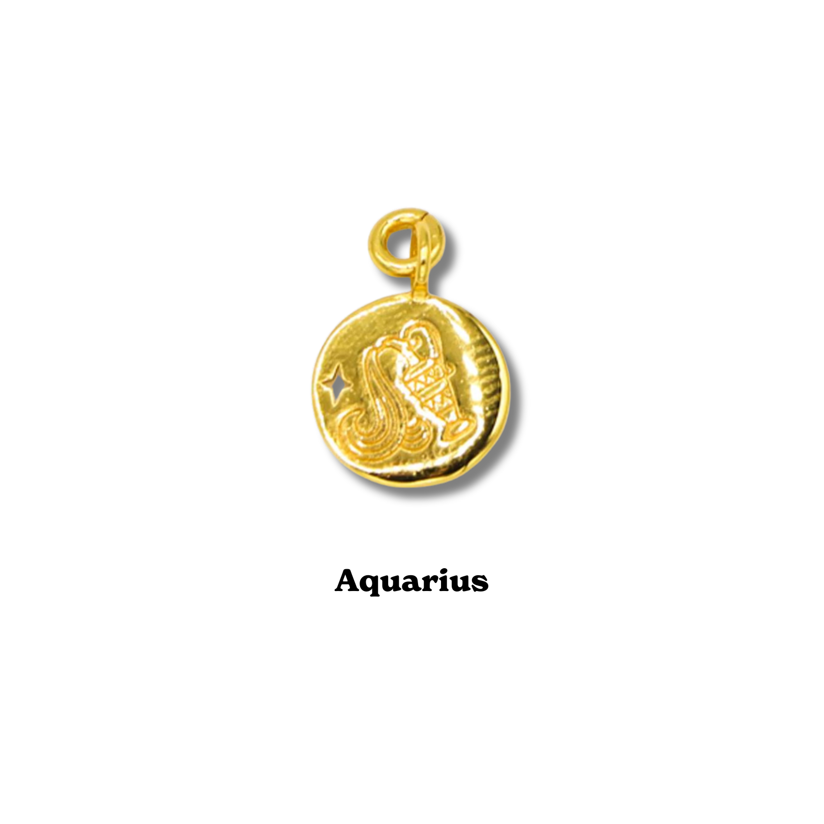 Zodiac Charm