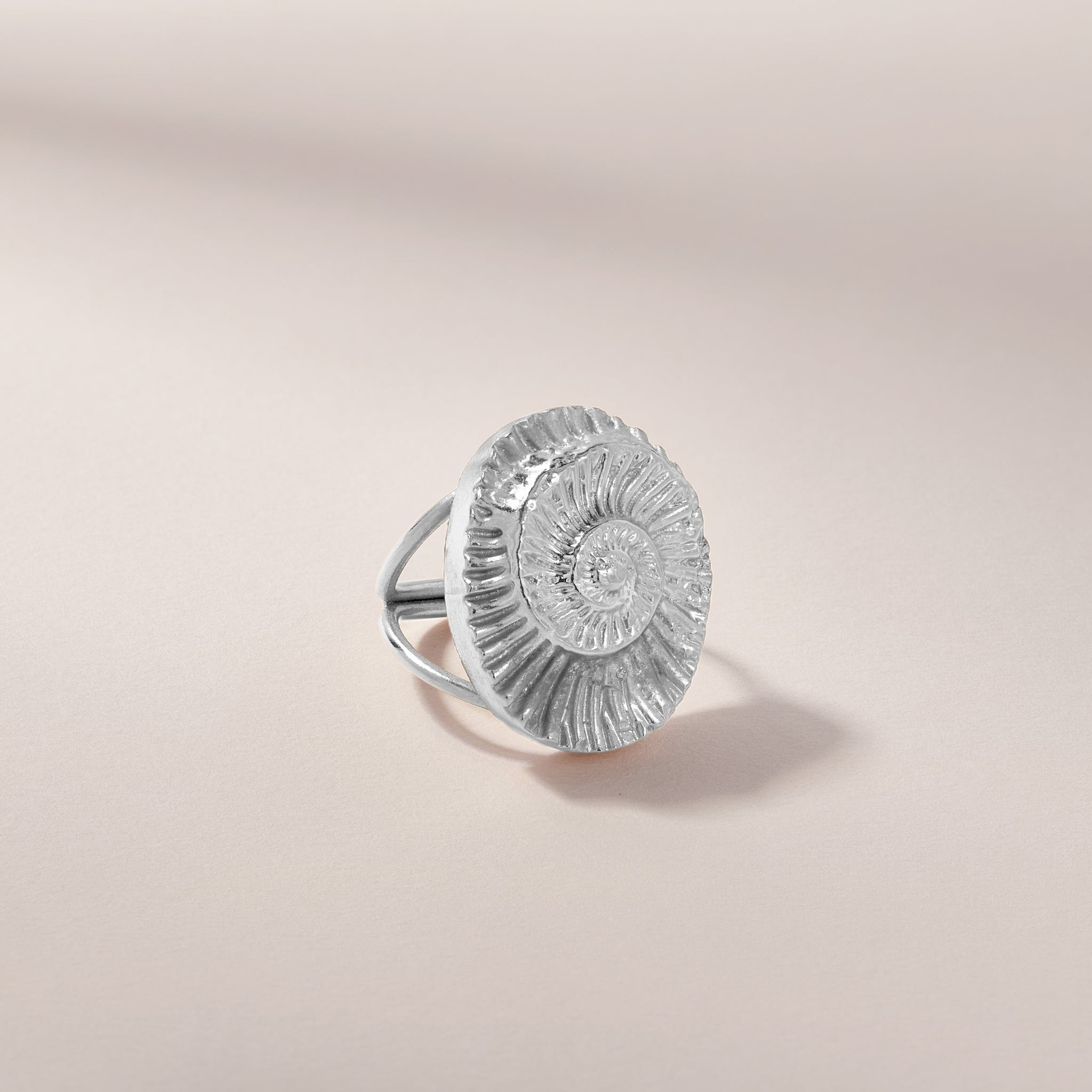 Ammonite fossil ring on sale