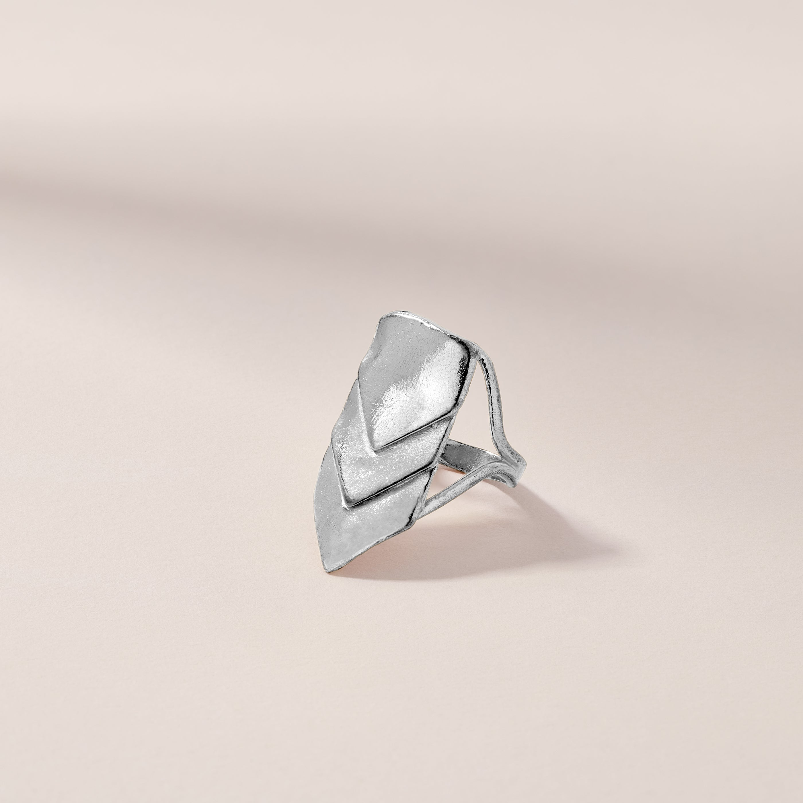 Scale Ring