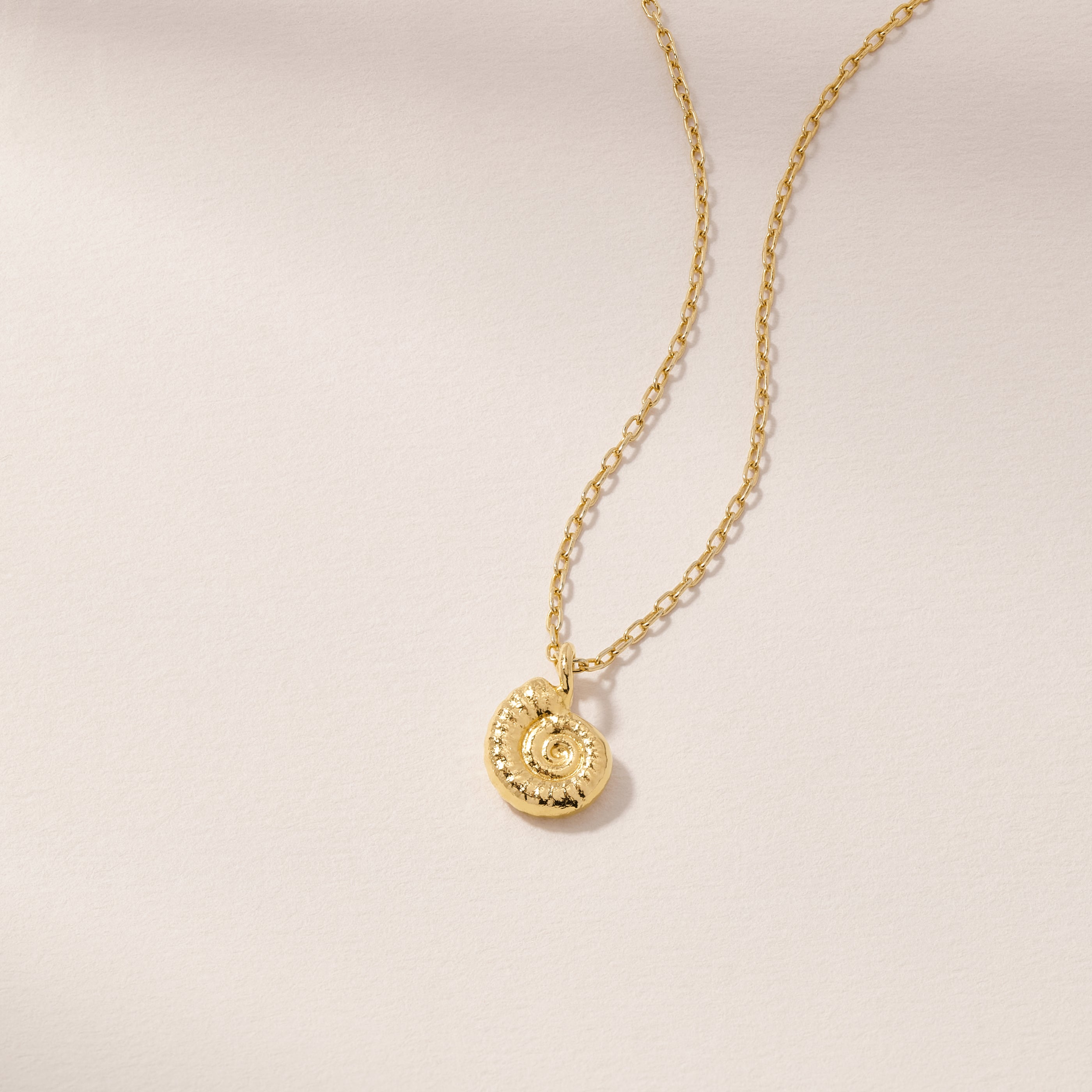 Tiny Ammonite Fossil Charm Necklace