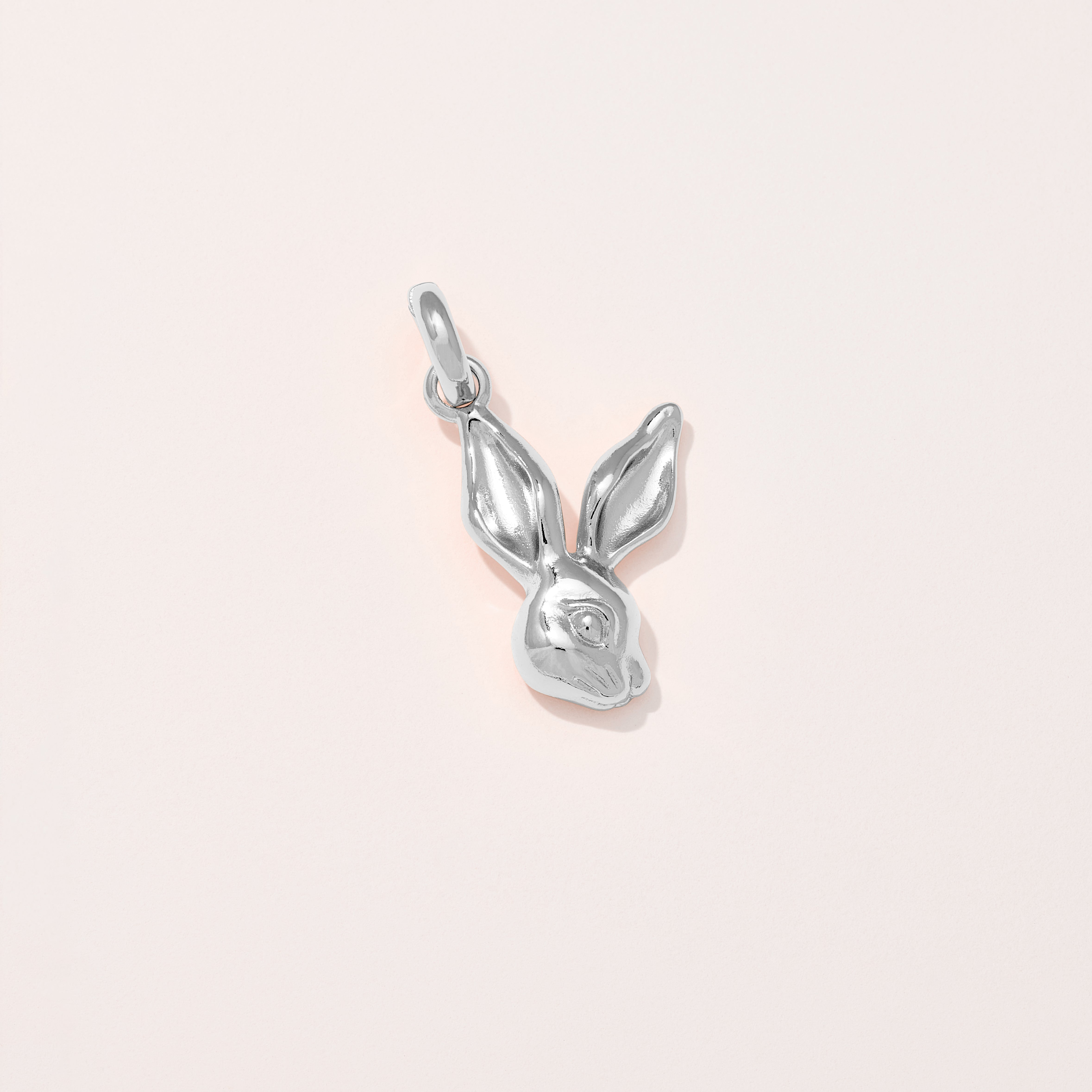 Rabbit Charm