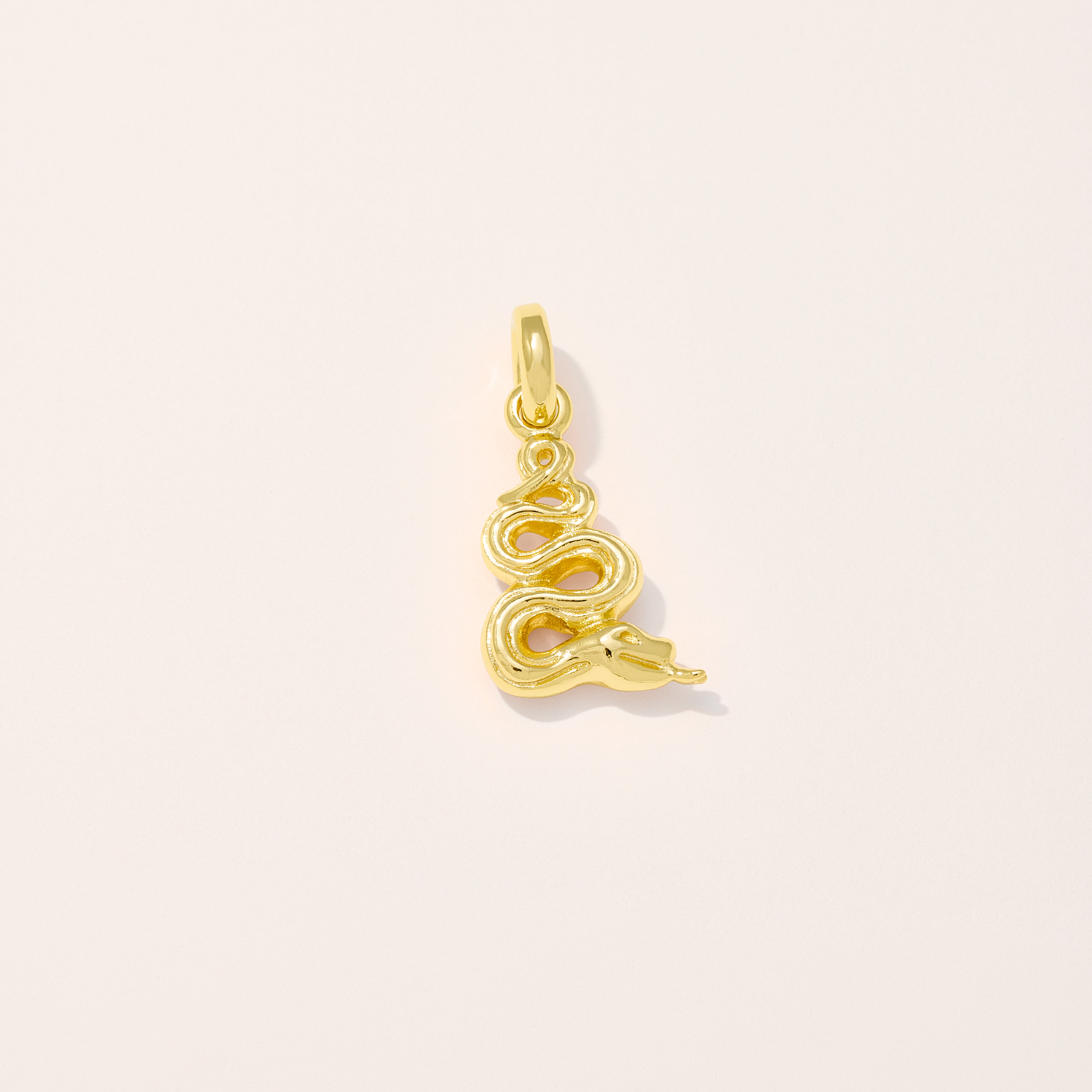 Snake Charm