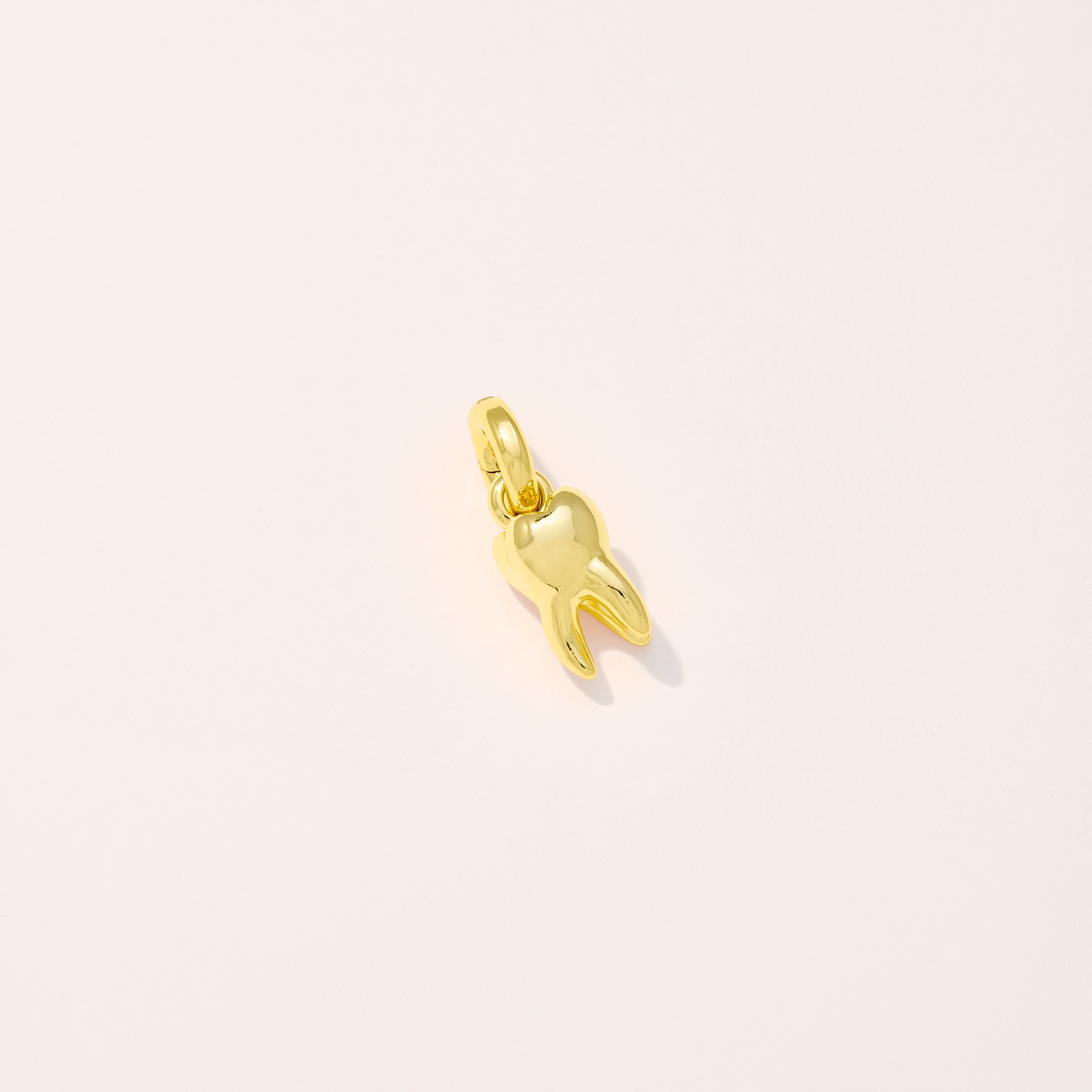 Tooth Charm